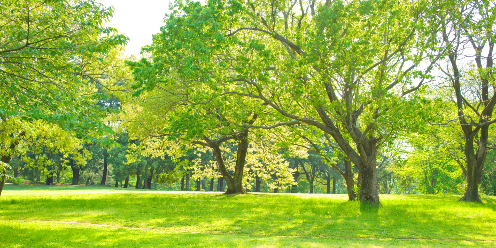 公園